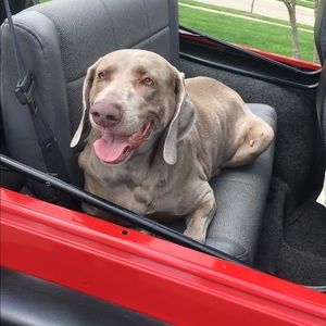 Meet your Posher, Max